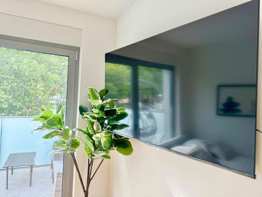 Apartament Rooftop With Balcony & Free Parking