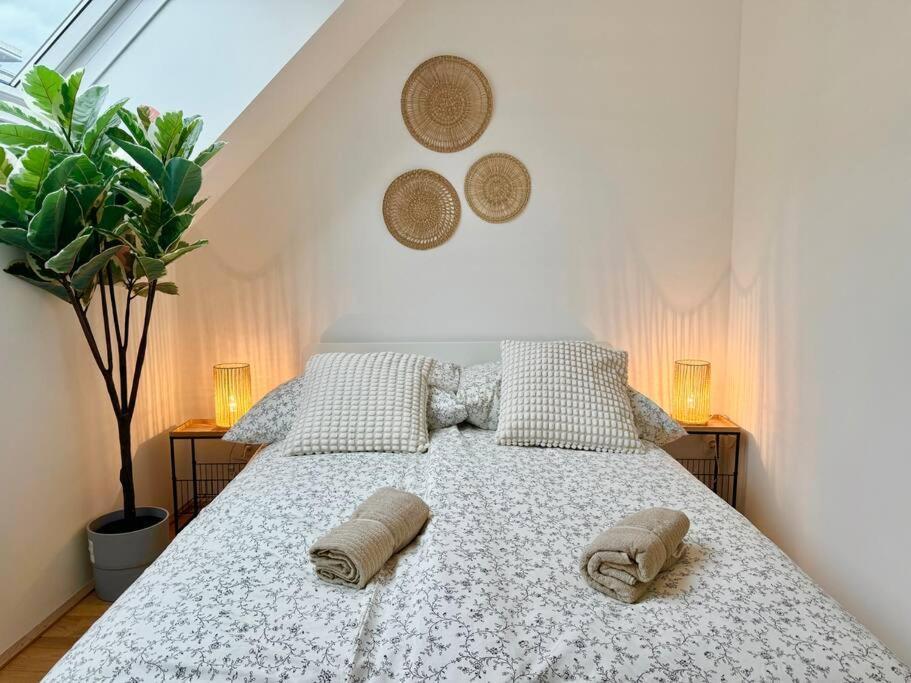 Rooftop With Balcony & Free Parking Apartament *